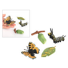 Insect Butterfly Lore  Life Cycle - 4 Pcs Insect Figure Shows Life Of Lady Bug 2024 - buy cheap