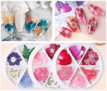 1 коробка для дизайна ногтей, сухое цветочное украшение, 25 шт., серия сухих цветов, 6 видов стилей сушеные натуральные цветы 2024 - купить недорого