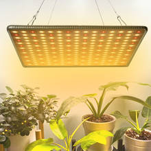 Phytolamp-Lámpara Phyto de espectro completo para cultivo de plantas, luz LED de 1000W, 3500K, 660nm, para tienda de interior, flores y hierbas 2024 - compra barato