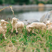 6Pcs Dollhouse Miniature Sheep Figurines Outdoor Kit Garden Ornament Decor 2024 - buy cheap