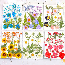 Natura Dried Flowers Stickers Dry Beauty Plants Decal For Candle Accessories Epoxy Resin Pendant Necklace Jewelry Making Craft 2024 - buy cheap
