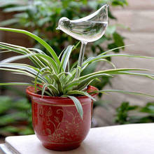 Bombillas de vidrio transparente para decoración de plantas, jarrones de autoriego en forma de pájaro, 25CM x 10CM, 1 unidad 2024 - compra barato