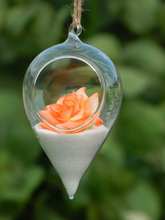 Подвесная стеклянная ваза, ваза для гидропонных цветов, растений, суккулентов, простая прозрачная круглая бутылка, свадебная ваза 2024 - купить недорого