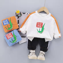 Nova primavera outono bebê esporte hoodies camiseta calças 2pcs ternos da criança fatos de treino crianças meninos meninas conjuntos roupas dos miúdos 2024 - compre barato