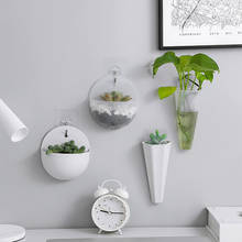 Vaso de parede de plástico para hidroponia, para pendurar na parede, suprimentos para jardim 2024 - compre barato
