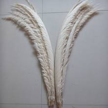 EMS Free Shipping 50pcs Bleached White/beige lady Amherst pheasant Feather tail Plumes 80-90cm 30-35 inch Pheasant Tail Feather 2024 - buy cheap