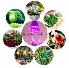 Luz Led de espectro completo para cultivo, 6W, 10W, 30W, 50W, 80W, rojo, azul, 3:1, IR, lámpara para flores hidropónicas, plantas y verduras 2024 - compra barato