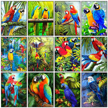 Pintura de animais quadrados completa 5d diy, papagaio, bordado, pássaro, strass, mosaico, papagaio, ponto de cruz, decoração de casa 2024 - compre barato