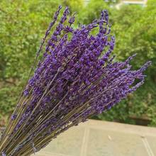 40g/20-35cm,Natural Preserved Lavender bouquet,Real Eternal Lavender Arrange flowers for Wedding home Decoration accessories 2024 - buy cheap