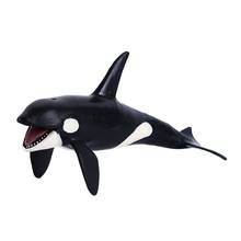 Simulação infantil oceano Vida marinha brinquedos modelo animal tubarão branco modelo tubarão-baleia brinquedos educativos presente de aniversário para crianças 2024 - compre barato
