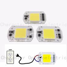 10 PCS LED COB Lamp Chip 20W 30W 50W 220V/110V Input Smart IC Driver Fit For DIY LED Floodlight Spotlight Cold White Warm White 2024 - buy cheap