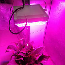 Luz LED de cultivo de 300W, lámparas Phyto de espectro completo de 450 + 660NM, lámparas de cultivo para tienda de plántulas de interior, invernadero, flores, fitolamp 2024 - compra barato