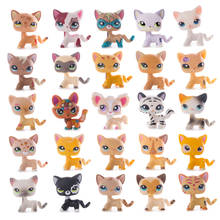 Original Little Pet Shop LPS Cat Collection Rare Standing Shorthair Old Kittens High Quality Action Figure Model Toys Kids Gift 2024 - купить недорого