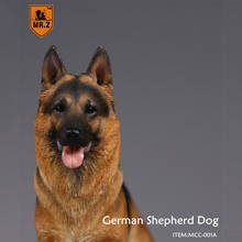 Фигурка Mr.Z в масштабе около 23 см 1/6, имитация модельная игрушка в виде собаки немецкой овчарки для 12-дюймовых экшн-фигурок, сцена, украшение для дома 2024 - купить недорого