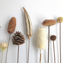 Natural Pine Cone Pampas Grass DIY Materials Wedding Party Decoration Home Decor Preserved  Flower  Scene Layout Shooting Props 2024 - buy cheap