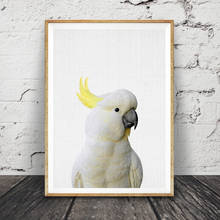 Cacatúa impresa pájaro australiano Animal foto arte de pared fotografía de color carteles grandes imagen minimalista moderna decoración de habitación de niños 2024 - compra barato