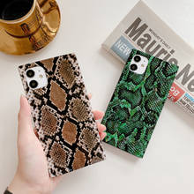 Square Animal Skin Print Phone Case for iPhone 12 11 Pro Max iPhone11 SE 2020 7 8 Plus XS XR X Shockproof Soft Silicone Cover 2024 - buy cheap