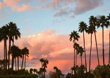 PALM SPRINGS - Dawn Style Picture Art Film Print Silk Poster Home Wall Decor 24x36inch 2024 - buy cheap