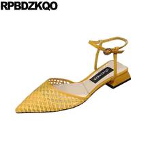 2021 Pointed Ankle Strap Sandals Chunky Pink Thick Slingback Luxury Shoes Women Designer Block Fashion Yellow Low Heel Summer 2024 - buy cheap