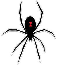 Black Widow Spider Graphic - Vinyl Sticker Waterproof Decal 2024 - buy cheap