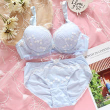 Thin Cup Embroidered Big Bras Steel Ring Shallow Cup Gathering Deep V Bralette Flower Underwear Panty Set Cute Bow Lingerie 2024 - buy cheap