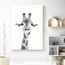 Pintura em tela para parede de animais selvagens, pôster, arte, girafa, decoração, zoológico, animal, preto e branco, fotografia, viveiro 2024 - compre barato