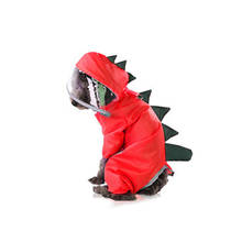 Chubasquero de dinosaurio de dibujos animados con hebilla en D, ropa de perro para cachorro, ligera, con capucha, transparente, impermeable, para lluvia, Corgi, ropa para mascotas 2024 - compra barato