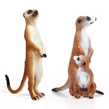 Meerkat-figuras de acción de animales salvajes, colección de PVC, precioso juguete, regalo para niños 2024 - compra barato