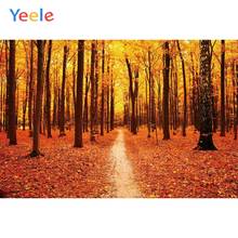 Осеннее дерево желтые листья лесной фон природа пейзаж Виниловый фон для фотостудии Фотофон 2024 - купить недорого