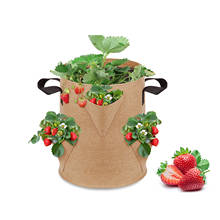 Bolsas de fresas de galón Pe, plantador de fresas, bolsas de cultivo, maceta de patatas, macetas de jardinería para el hogar, jardín, flores, verduras, herramientas de plantación de tomate 2024 - compra barato