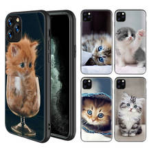 Силиконовый чехол для iPhone 11 Pro X XS XR XS Max 7 8 6 6S 5 5S SE Plus 8 + 7 + 6 + 6S + задняя крышка телефона с забавным котенком 2024 - купить недорого