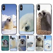 Yinuoda Baby Harp Seal Sea Lion Phone Case Cover For iPhone 11 8 7 6 6S Plus X XS MAX 5 5S SE 2020 XR 11 pro Cover 2024 - buy cheap