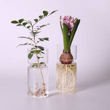 Clear Glass Hyacinth Vase Transparent Flower Plant Bottle Pot DIY Ornaments Home Living Room Garden Decoration Desk Decors 15cm 2024 - buy cheap