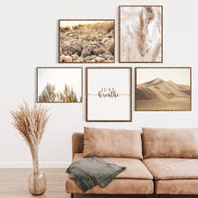 Póster Natural de caña de hierba de Pampas, cuadro sobre lienzo para pared, impresiones de imágenes de pared para sala de estar, decoración del hogar 2024 - compra barato