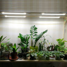 Phytolamp para plantas temporizador crescer tiras de luz 5v hidroponia orquídeas phyto lâmpada para plantas mudas em casa espectro branco led 2024 - compre barato