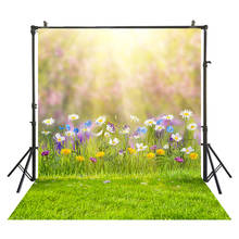 Spring Sunshine Flowers Easter Day Grassland Photo Backgrounds Baby Newborn Photography Backdrops Props For Photo Studio W-3816 2024 - buy cheap