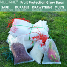 Fruit Protection Bags Reusable Nylon Mesh Nets Plant Flower Against Birds Garden Vegetables Insert Growing Protective Nettings 2024 - buy cheap