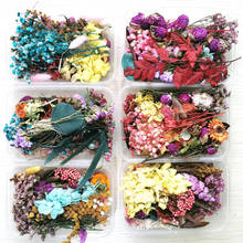 1 Box Natural Dried Flower Dry Plants For DIY Epoxy Resin Charm Pendant Aromatherapy Candle  Jewelry Making Craft Accessories 2024 - buy cheap