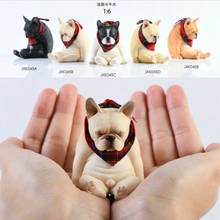 JXK JXK045A 1/6 scale decadent dog French bulldog plus scarf model toy decoration collection 2024 - buy cheap