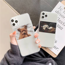 Funny Couple Dog Phone Case For iphone 11 Pro Max 6 6s 7 8 plus Back Cover Cute Cartoon Soft Cases For iphone X XR XS Max Capa 2024 - buy cheap