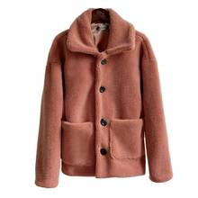 Faux Fur Coat Women 2019 Autumn Winter Single Button Pellet Velvet Teddy Coat Plush Warm Casual Streetwear Fur Coat With Pocket 2024 - buy cheap