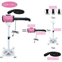 The 5 In 1 Sets Brand Cheap Dog Grooming Dryer  Pet Hair  with Holder Rack  Blower 220v/110v 2400w Eu Plug  Models 2024 - buy cheap