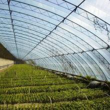 0.08mm Hi-quality Reinforced PE Greenhouse Film Garden Vegetable Plant Cover Rain-proof Keep Warm Transparent Film Width:2m~12m 2024 - buy cheap