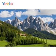Yeele-telón de fondo personalizado para estudio fotográfico, fondo fotográfico con escena de pantalla verde de montaña, paisaje Natural, accesorios de fotografía 2024 - compra barato
