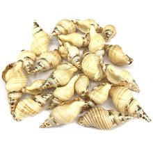 Natural shell fashion conch Pendants Charms Necklace pendant for Jewelry Making DIY Bracelet Necklaces Accessories Size 28x38mm 2024 - buy cheap
