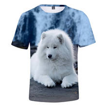 Fashion Design Samoyed t-shirt Men Women Kids Harajuku T-shirt Printed Cute Bear streetwear Tops Boy Girl Popular dog t-shirt 2024 - buy cheap