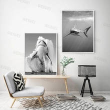 Great White Shark Black White Posters and Prints Monochrome Nature Wall Art Canvas Painting Pictures for Living Room Home Decor 2024 - buy cheap