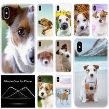 Luxo macio silicone caso de telefone jack russell terrier cão para apple iphone 11 pro xs max x xr 6s 7 8 plus 5 5S se moda capa 2024 - compre barato
