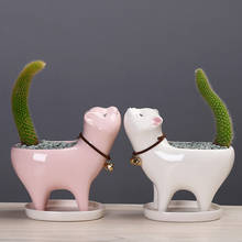Maceta de cerámica con forma de Cactus para decoración del hogar y la Oficina, maceta de gato, suculenta de dibujos animados, florero con personalidad 2024 - compra barato