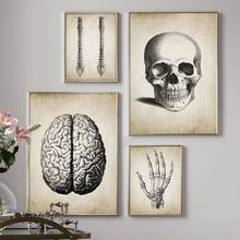 Brain Finger skull Human Anatomy Poster Vintage Wall Art Canvas Painting Nordic Posters And Prints Wall Pictures For Living Room 2024 - buy cheap